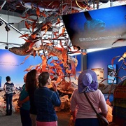 Sanctuary Exploration Center