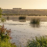 Longpré-Les Corps Saints