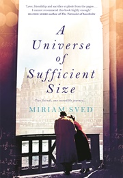 A Universe of Sufficient Size (Miriam Sved)