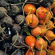 Root Vegetables