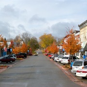 Reed City, Michigan