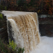 Ball's Falls Conservation Area
