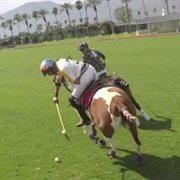 Played Polo