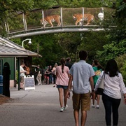 Philadelphia Zoo, Pennsylvania, USA
