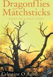Dragonflies and Matchsticks (Celestine Obiora Agbo)