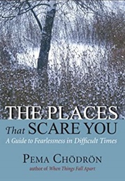 The Places That Scare You: A Guide to Fearlessness in Difficult Times (Pema Chödrön)