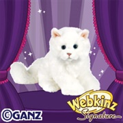 Signature Small White Persian Cat