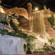 Arizona Museum of Natural History