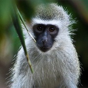 Mitchell Park Zoo, Durban, South Africa