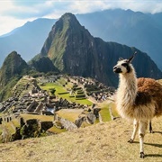 Peru - Machi Picchu