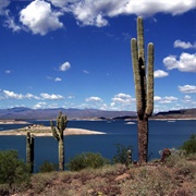 Lake Pleasant