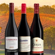 Lambrusco Di Sobara