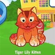 Tiger Lily Kitten