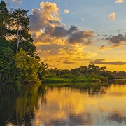 Lago Maicá, Near Santarém, Brazil