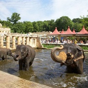 Hanover Zoo, Germany