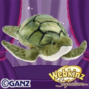 Signature Small Sea Turtle