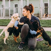 Open an Animal Shelter