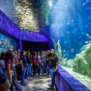 Acuario Michin, Guadalajara