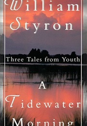A Tidewater Morning (William Styron)