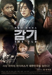 The Flu (2013)