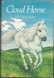 Cloud Horse (Jill Pinkwater)