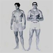 Plagiarism (Sparks, 1997)