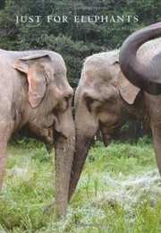Just for Elephants (Carol Buckley)