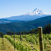 Northwest Wineries