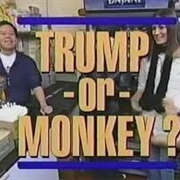 Trump or Monkey