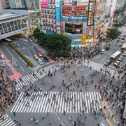 Used Shibuya Crossing, Tokyo, Busiest Pedestrian Intersection in the World