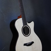 Acoustic Bass Guitar