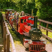 Rio Grande Railway, Craigtoun Park