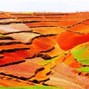 Dongchuan Red Soil
