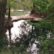 Lafayette Blue Springs State Park