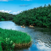 Hanalei River, Hawaii