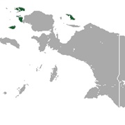 Beaufort's Naked-Backed Fruit Bat