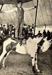 Under the Top (1919)