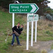 Shag Point, NZ
