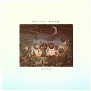 Robert Fripp & Andy Summers: Bewitched