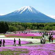 Fuji-Hakone-Izu National Park