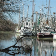 Lake Arthur, Louisiana