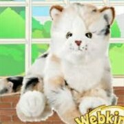 Signature Marble Cat