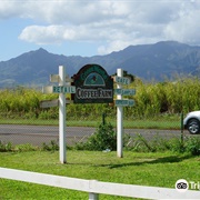 Green World Coffee Farm