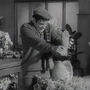 Seymour Krelboined (The Little Shop of Horrors, 1960)