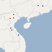 Indochinese Mouse-Eared Bat