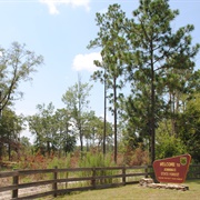 Jennings State Forest