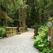 Tynehead Regional Park, Surrey, BC, Canada