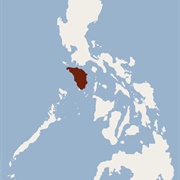 Small White-Winged Flying Fox