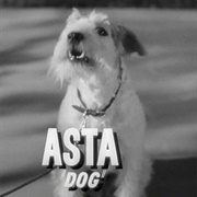 Asta (The Thin Man, 1934)