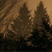 Above the Sky, Below the Sky (If These Trees Could Talk, 2009)